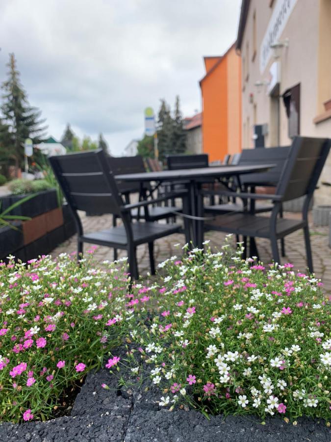 Divino Pension Zorbau Lägenhet Lützen Exteriör bild